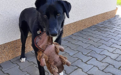 Spokojení zákazníci Krmiva u Toma